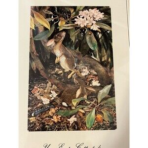 Vtg Sallie Ellington Middleton Signed Print Young Eastern Cottontails Frame 8x10